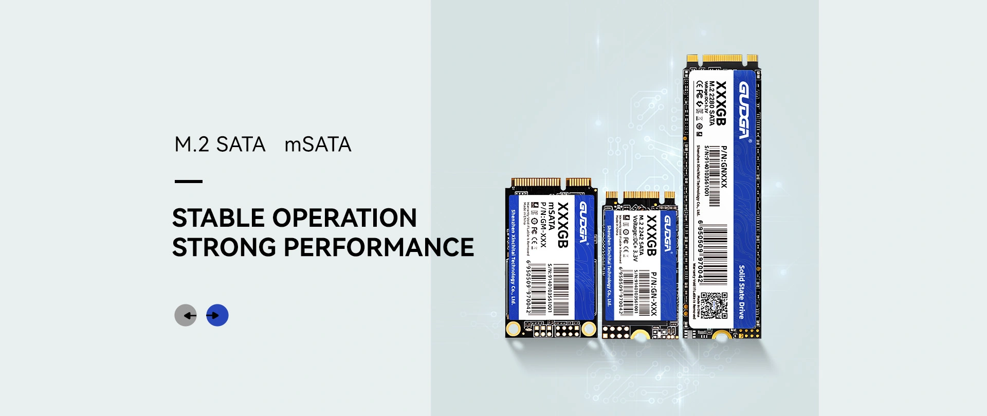 Chine Discount M.2 SATA SSD Fabricant