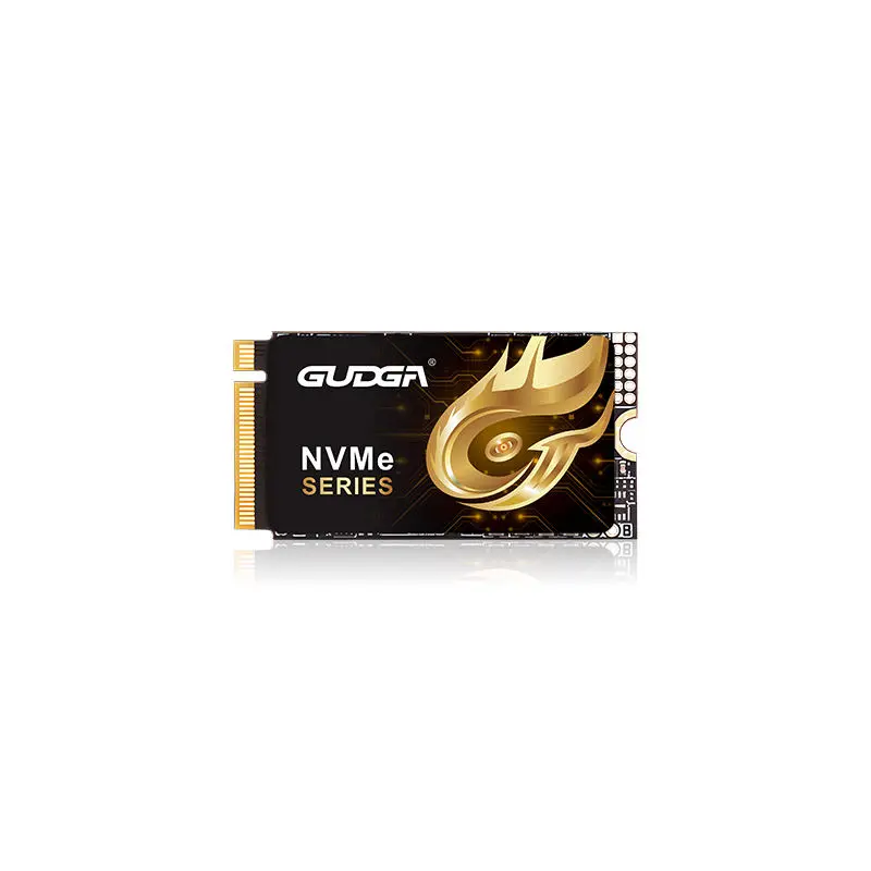 2242 Longueur SSD PCIE 4.0 NVMe 7000 Mo/s