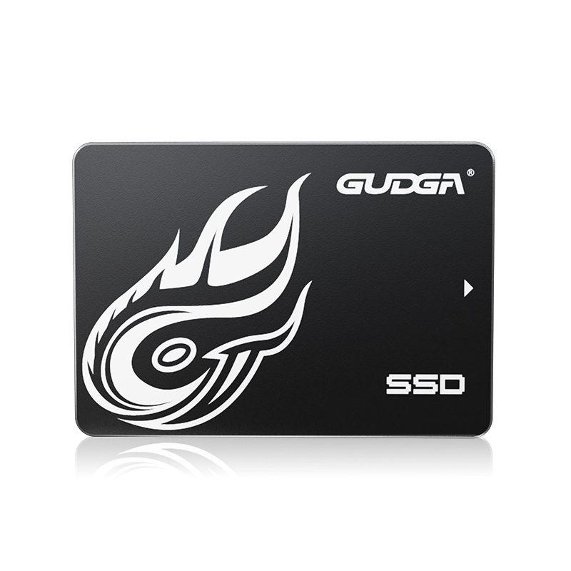 SSD SATA haute vitesse